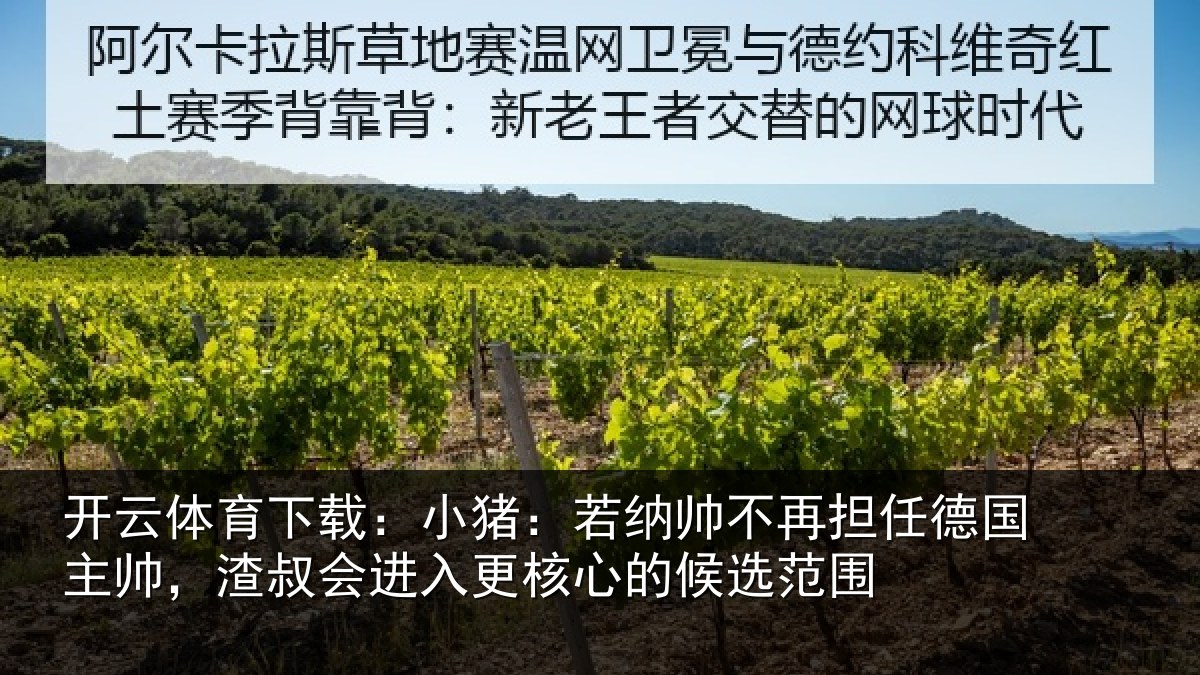 开云体育下载:小猪相关情况国主帅,渣叔会进相关情况围