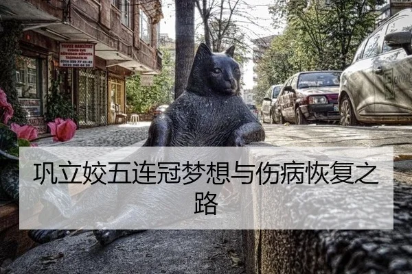 巩立姣五连冠梦想与伤病恢复之路